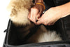 Nelson-Rigg Rover Pet Carrier NR-240